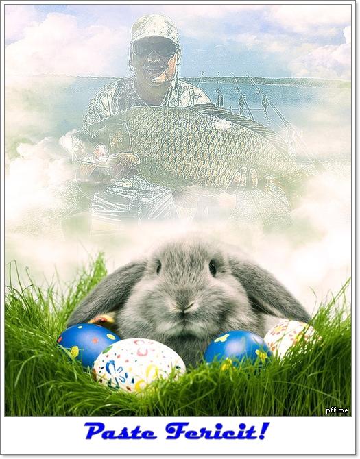 Sarbatori - 12408611---1.jpg